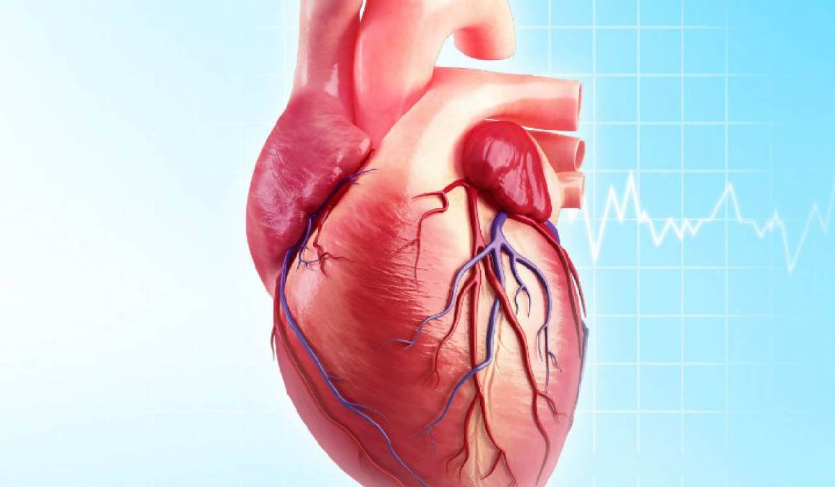 از روش های مختلف دارویی، جراحی و سنتی می توان گرفتگی رگ قلب را درمان کرد.