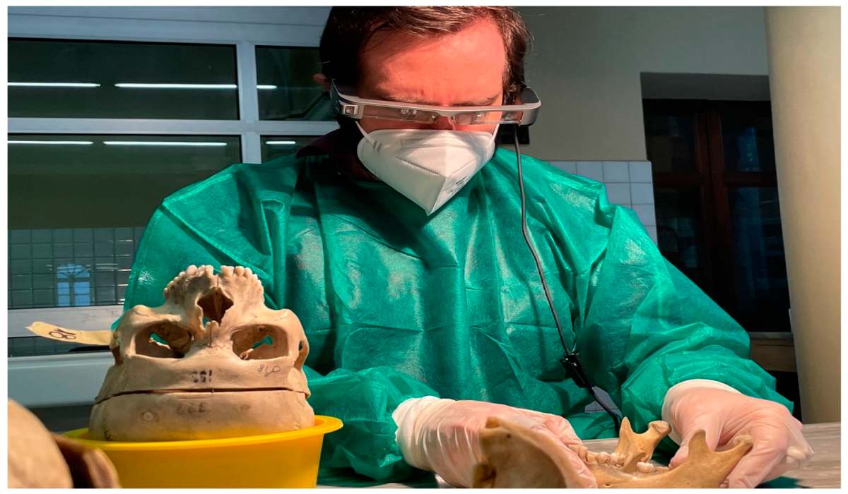 متخصص پزشکی قانونی در حال بررسی دندان‌های جسد