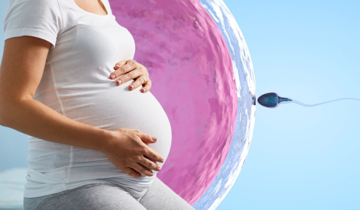 بارداری با روش لقاح آزمایشگاهی