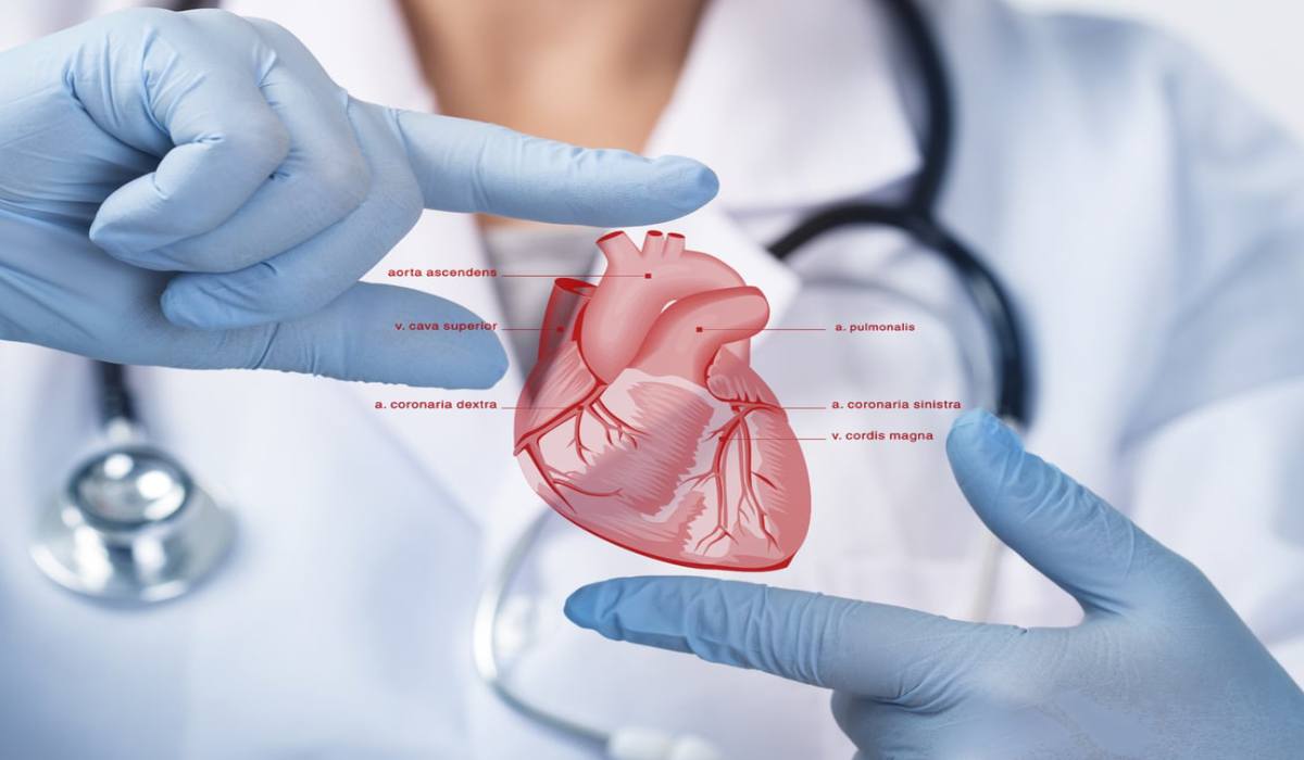 تخصص قلب چیست و چه بیماری‌هایی را درمان می کند؟