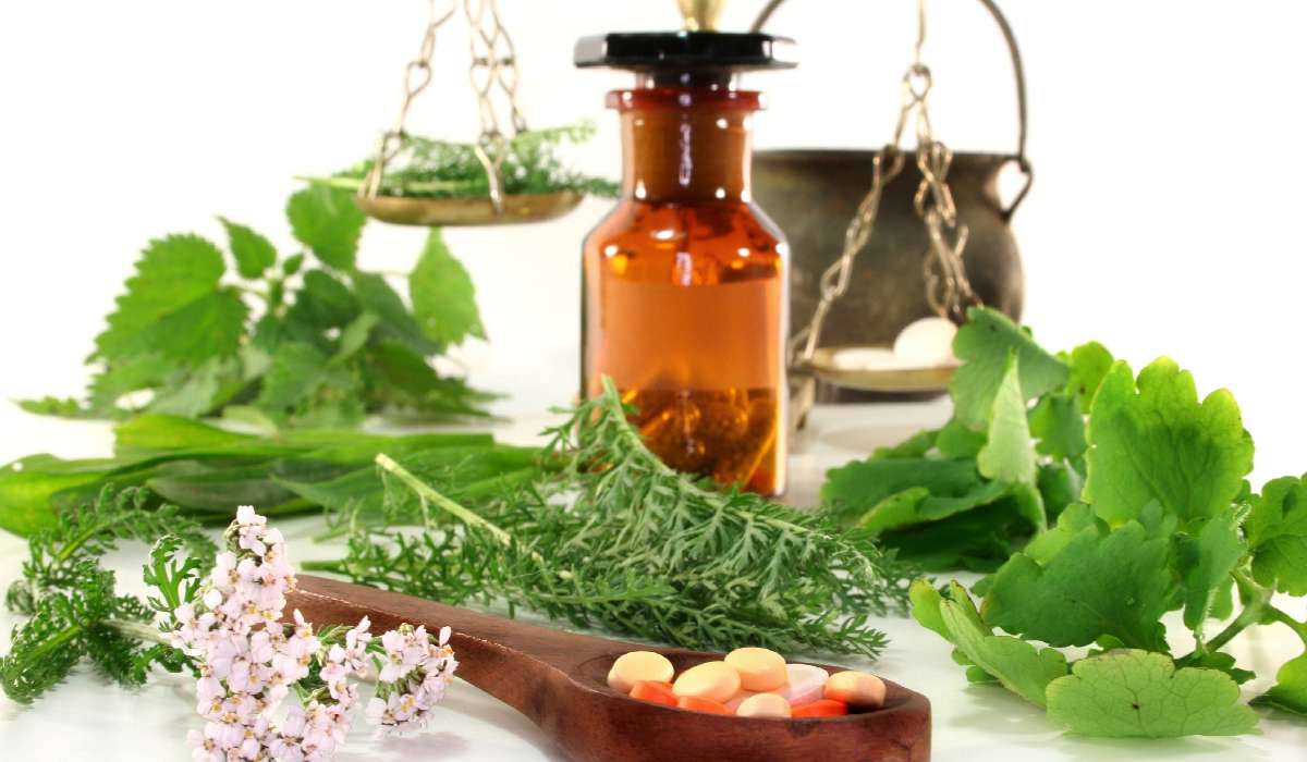 مصرف داروهای گیاهی و خانگی که در طب سنتی برای کاهش چربی خون استفاده می شود