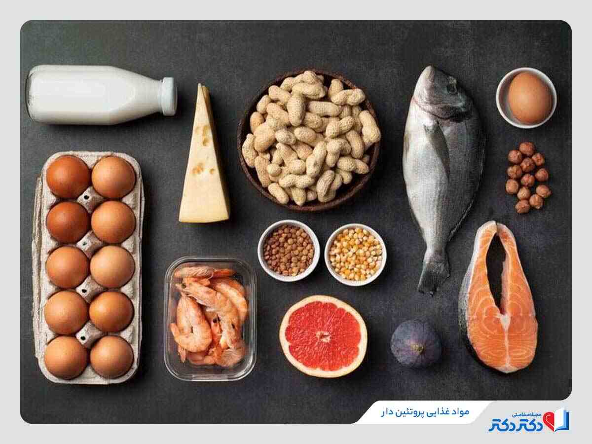 غذاهای پروتئین دار مواد غذایی پروتئین دار غذاهای پروتئین بالا