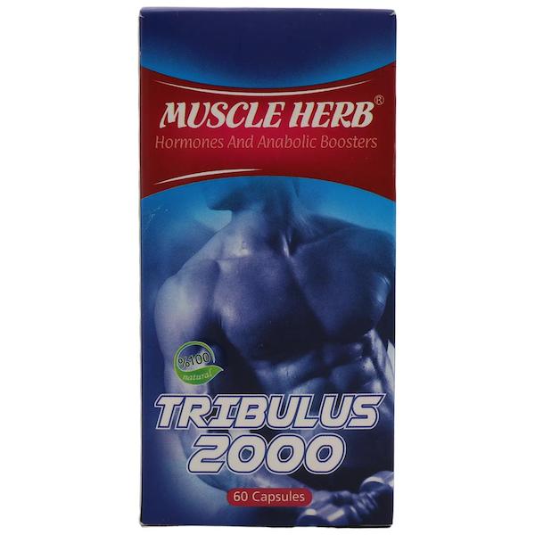 کپسول تریبولوس ماسل هرب بهتا دارو افزایش هورمون های مردانه 60 عدد