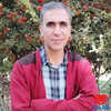 دکتر محمود مجملی