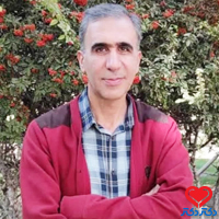 دکتر محمود مجملی