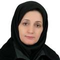 وجیه مدرسی سریزدی تخصص بیماری‌های کودکان یزد