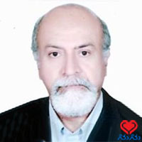 دکتر محمد حسین زاده مالکی