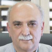 حمید پهلوان حسینی
