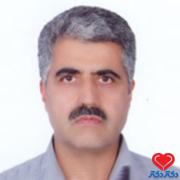 نظام الدین برجیس
