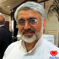 سید محمد رضا میرلوحی