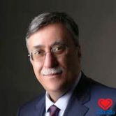 سیدعلی امامی میبدی فلوشیپ درد تهران