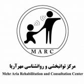 امیر آرامی
