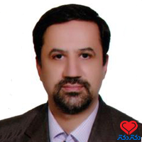 سید حسین فیروز آبادی